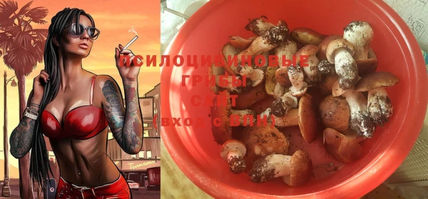 кокс Кукмор