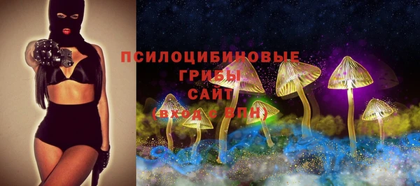 стафф Куйбышев